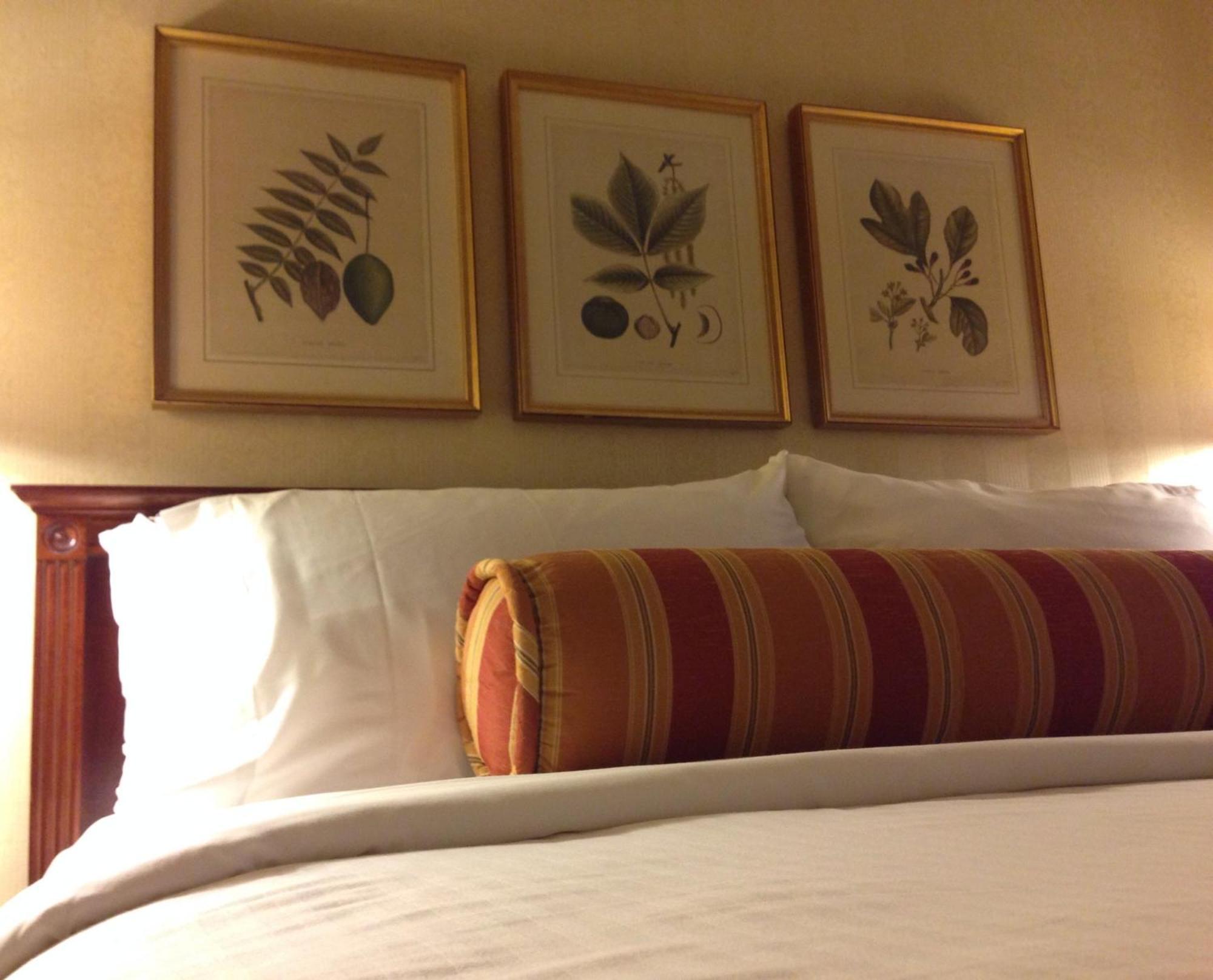 Queen Room,63445246:JPEG